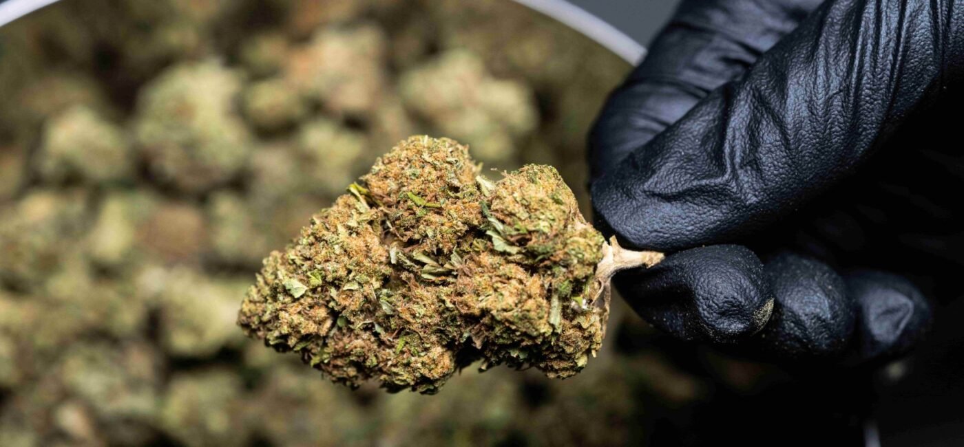 Medical Cannabis Insurance Coverage